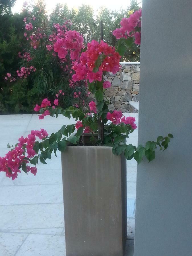 Villa Ca Del Mar Morciano di Leuca Eksteriør bilde