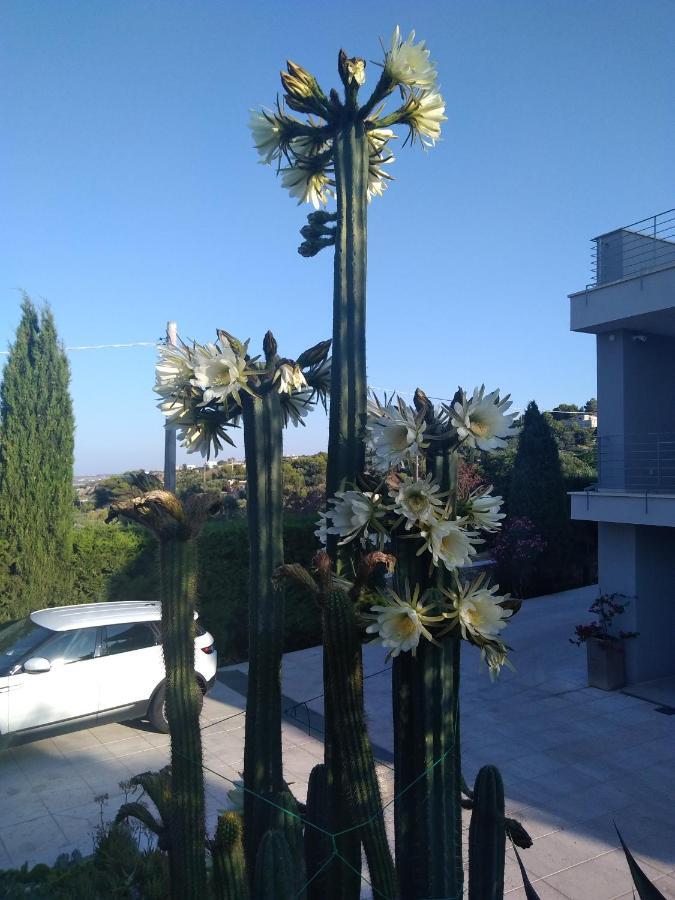 Villa Ca Del Mar Morciano di Leuca Eksteriør bilde